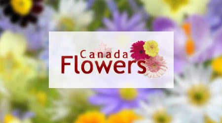Digital Marketing for Canada Flowers