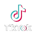 TikTok Advertising Agency