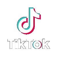 TikTok Advertising Agency
