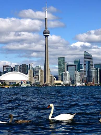 Toronto skyline and CN Tower from Lake Ontario