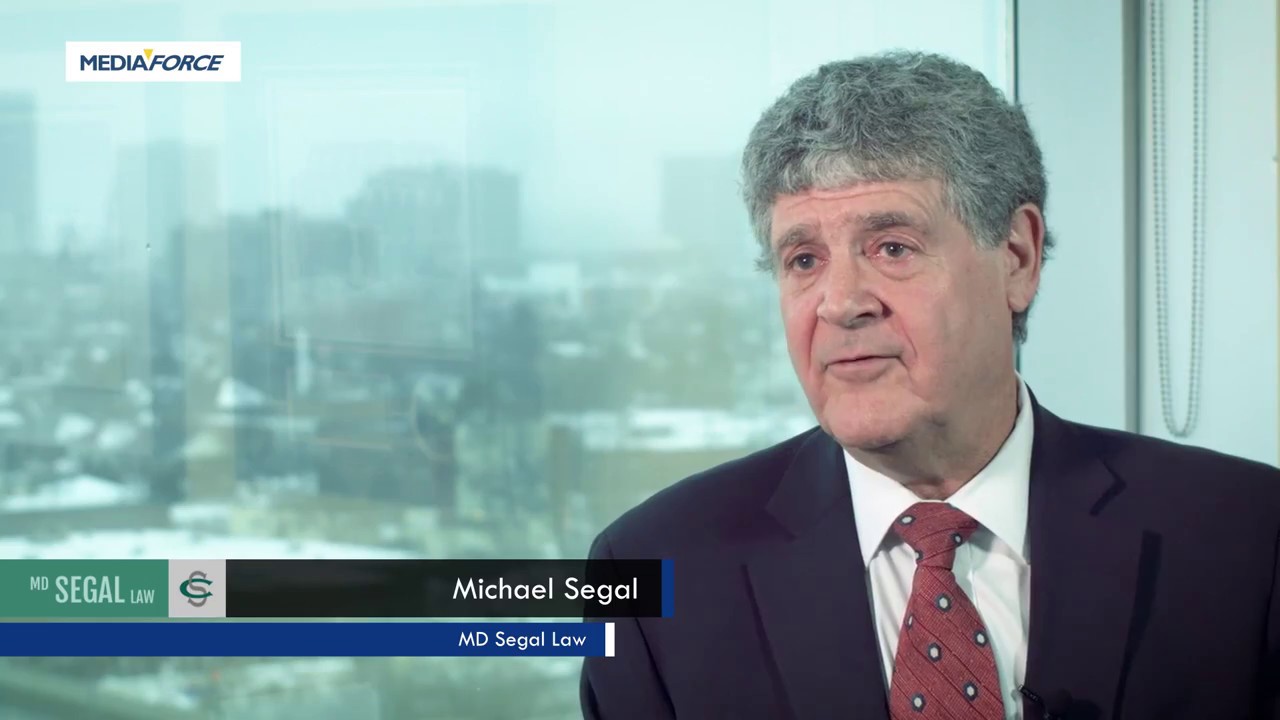 Top SEO Results | MD Segal Law works with Mediaforce